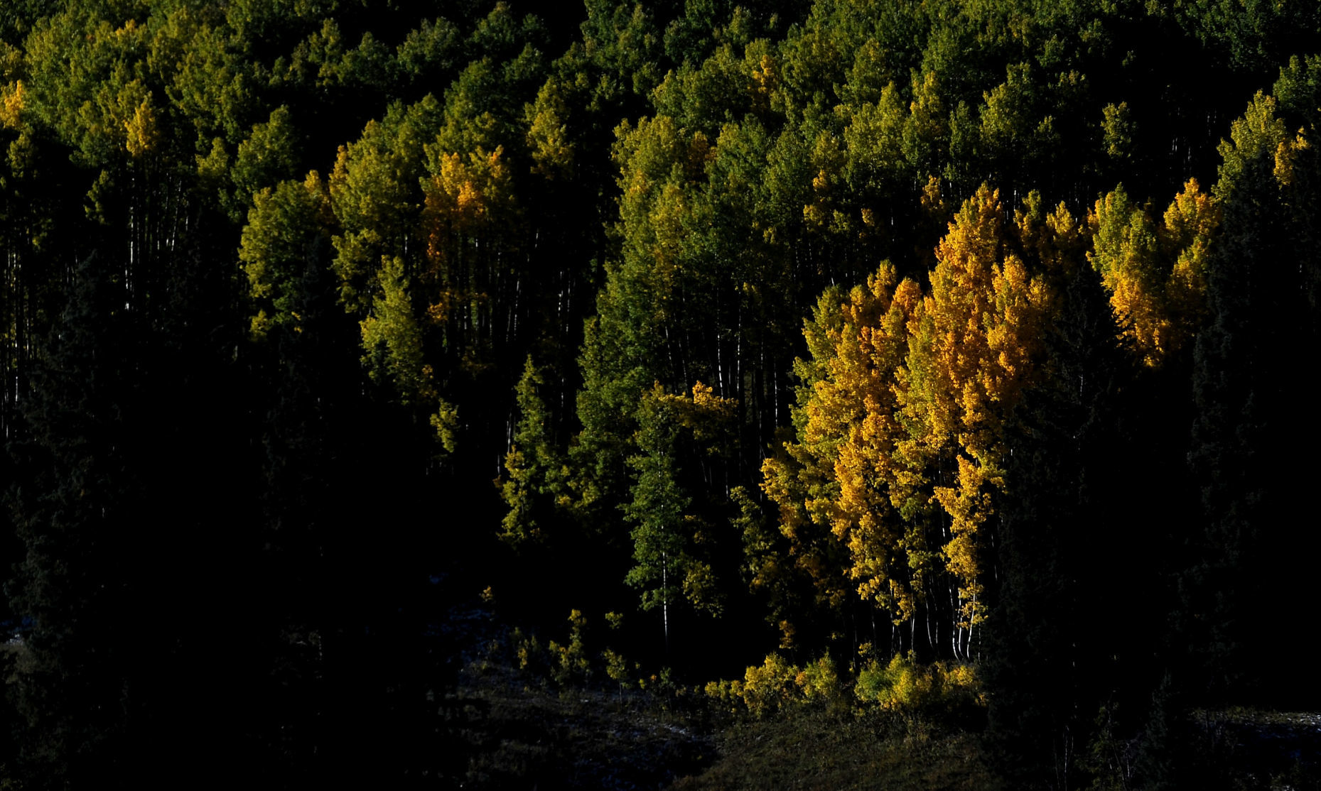 20. Kebler Pass